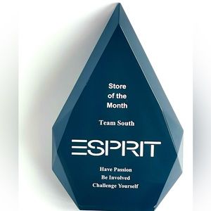 Authentic ESPRIT Nostalgic RARE Store of The Month Award Vintage Collectible